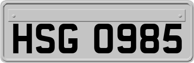 HSG0985