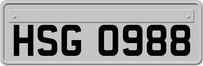 HSG0988
