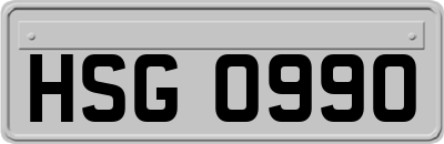 HSG0990