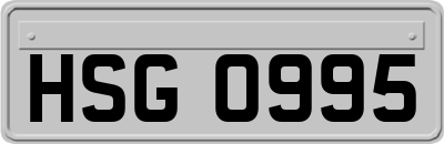 HSG0995