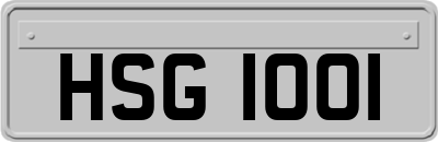 HSG1001