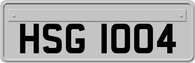 HSG1004