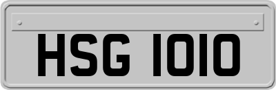 HSG1010