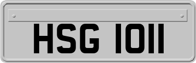 HSG1011