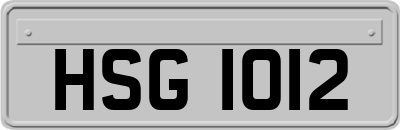 HSG1012