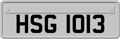 HSG1013