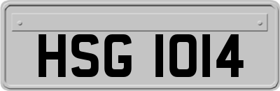 HSG1014