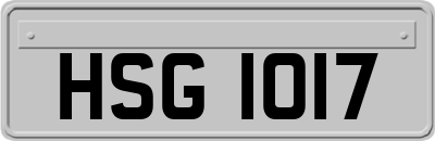 HSG1017