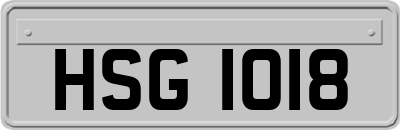 HSG1018