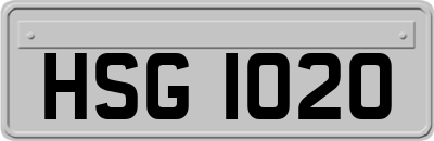 HSG1020