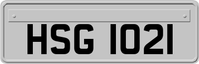 HSG1021