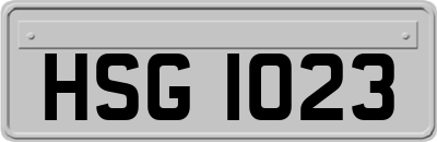 HSG1023