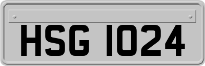HSG1024