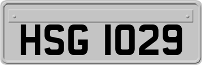 HSG1029