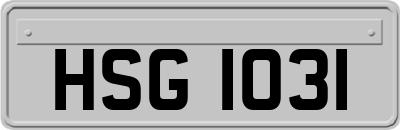 HSG1031