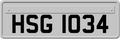 HSG1034