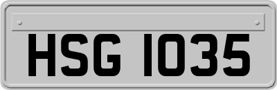 HSG1035