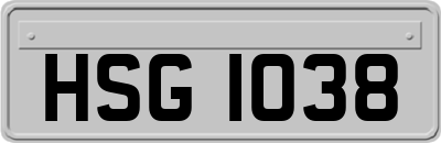 HSG1038