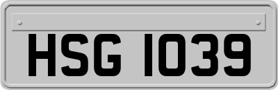 HSG1039