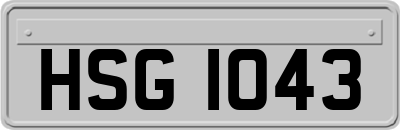 HSG1043