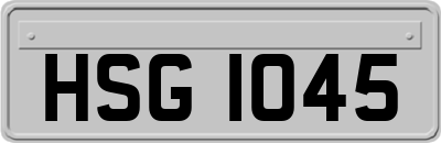 HSG1045