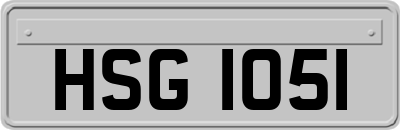 HSG1051