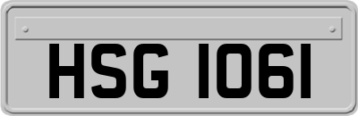 HSG1061