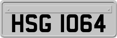 HSG1064