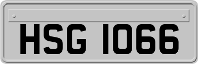HSG1066