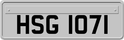 HSG1071