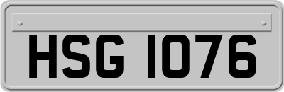 HSG1076