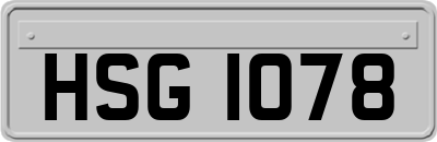 HSG1078