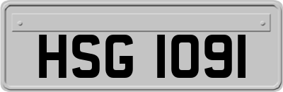 HSG1091