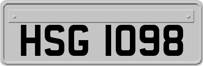 HSG1098