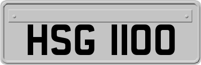 HSG1100