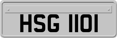 HSG1101