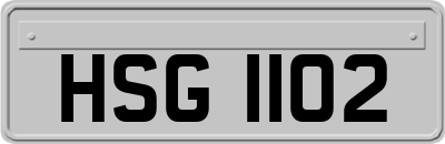 HSG1102