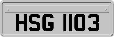 HSG1103