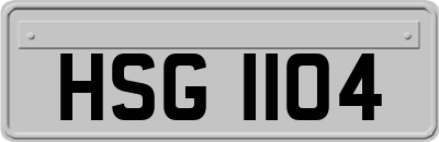 HSG1104