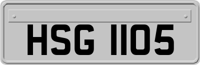 HSG1105