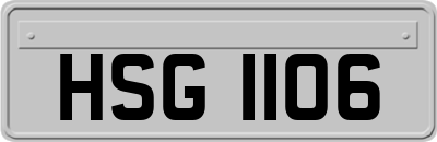 HSG1106