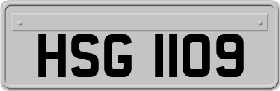 HSG1109