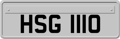 HSG1110