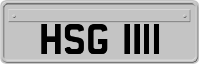 HSG1111