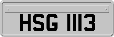 HSG1113