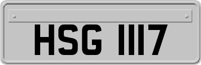 HSG1117