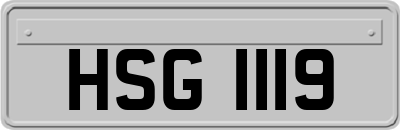 HSG1119