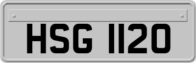 HSG1120