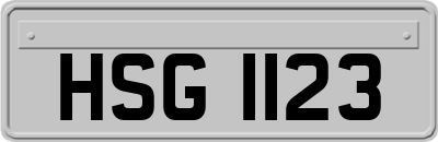 HSG1123