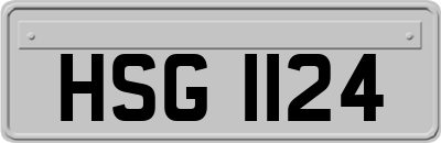 HSG1124